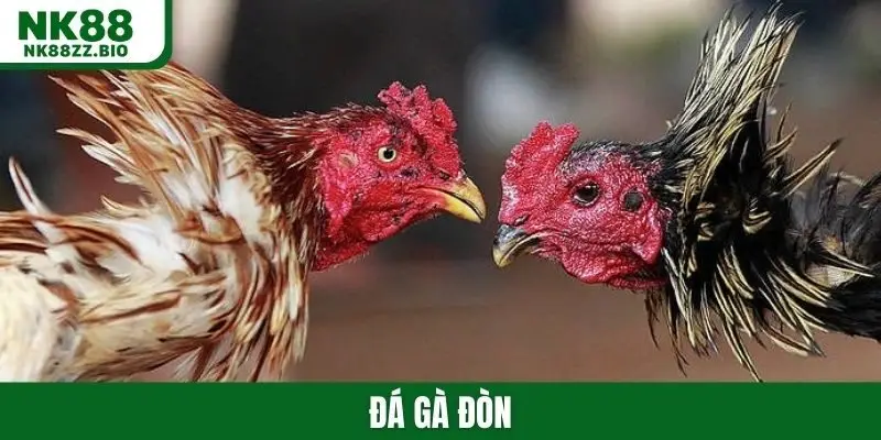Đá gà đòn